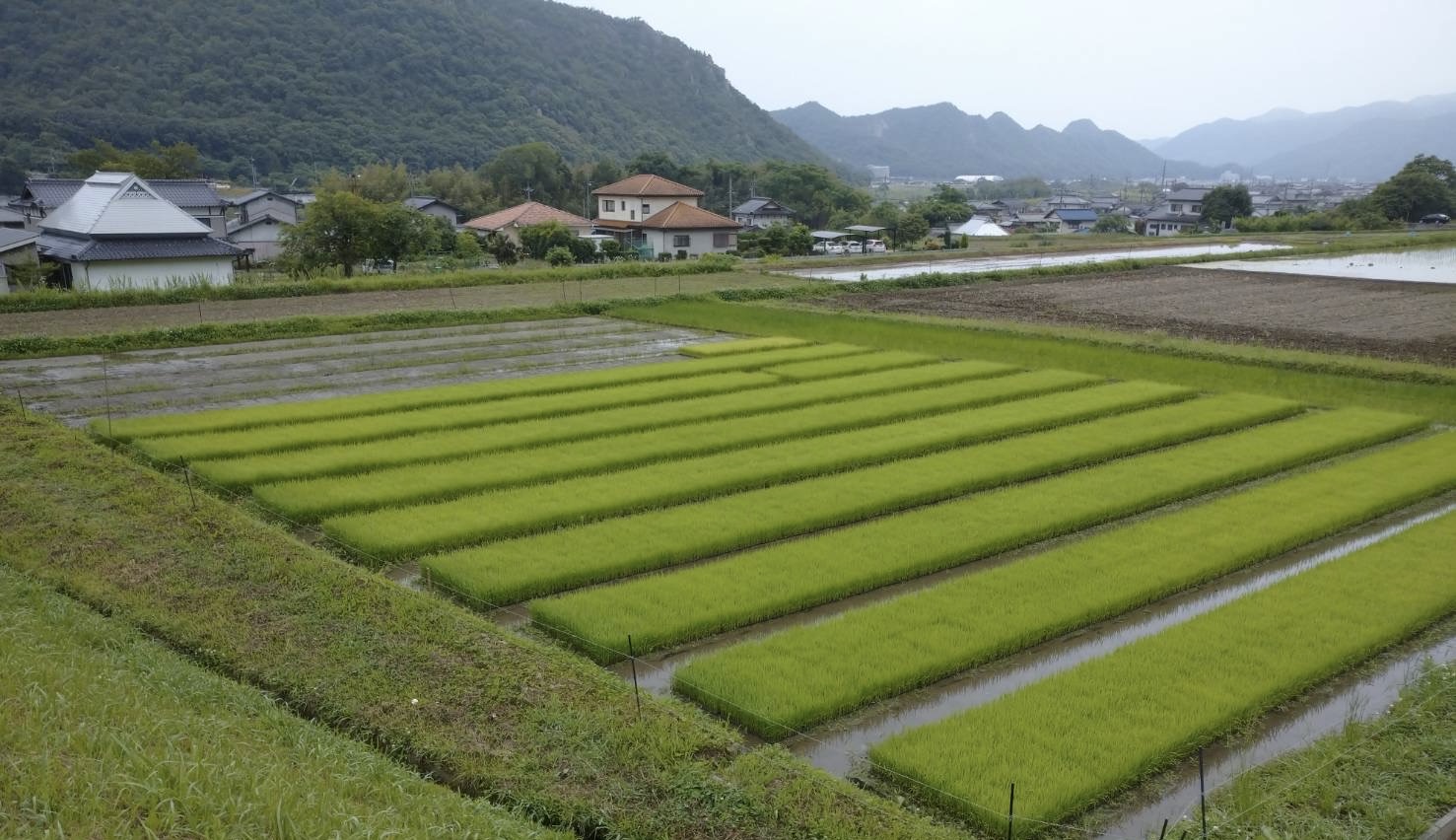 すみのる農園