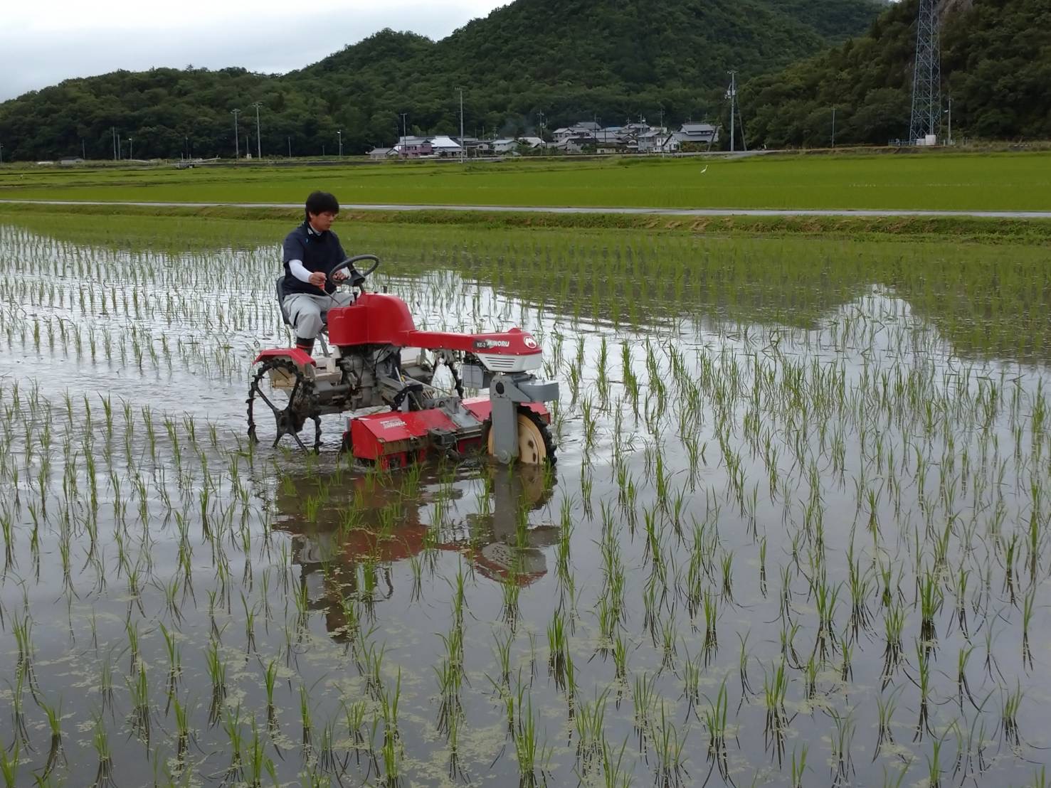 すみのる農園