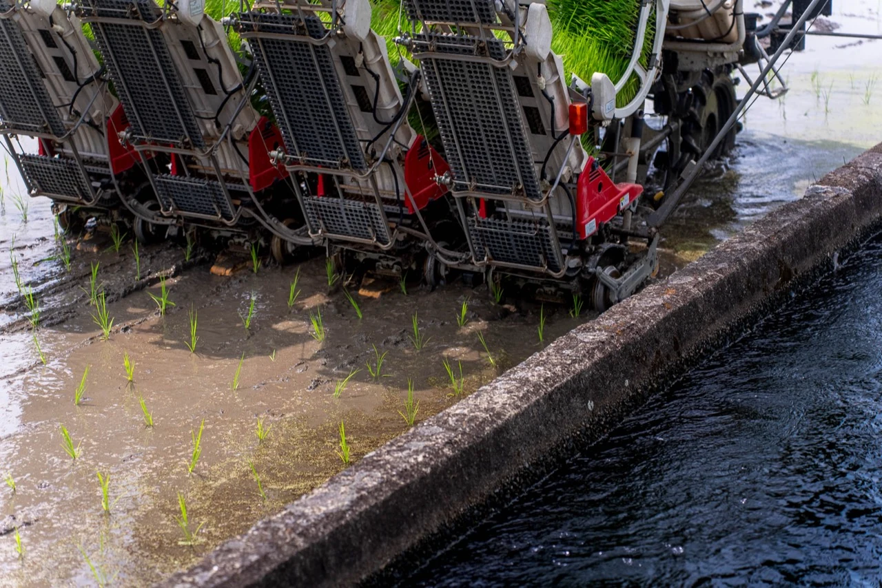 水路のそばで苗を植える田植え機