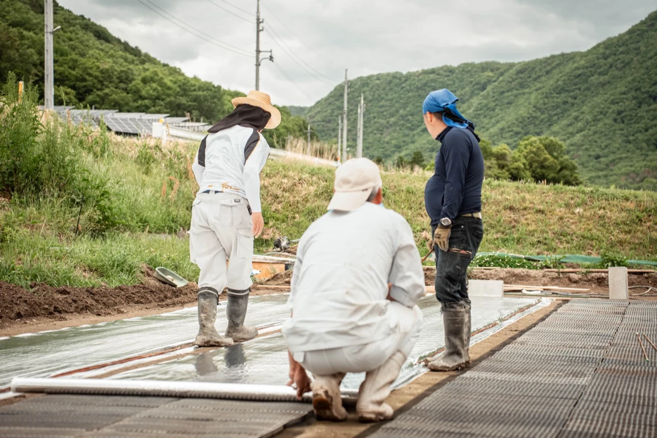和気町の山を背に苗床を整える農家の仲間たち