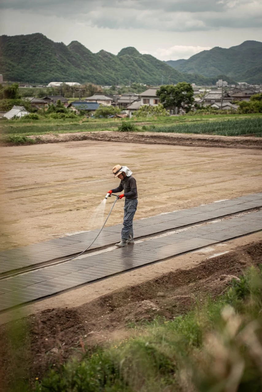 山あいの苗床へ丁寧に水をまく様子